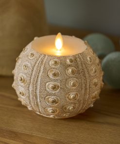 White Sea Urchin Shell Flameless Candle
