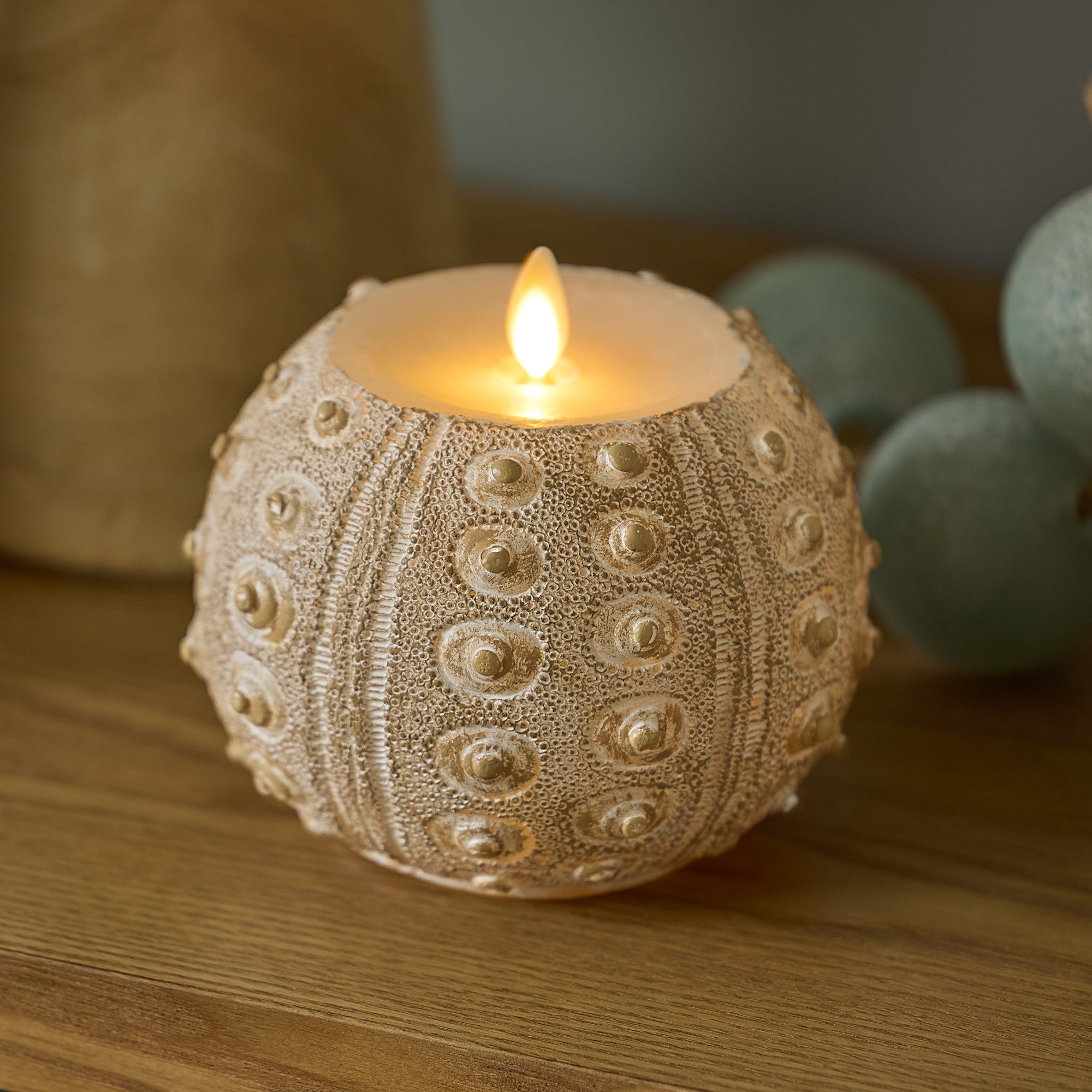 sm-image-11f25c338c33df36e886bf24 White Sea Urchin Shell Flameless Candle