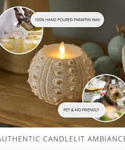 White Sea Urchin Shell Flameless Candle