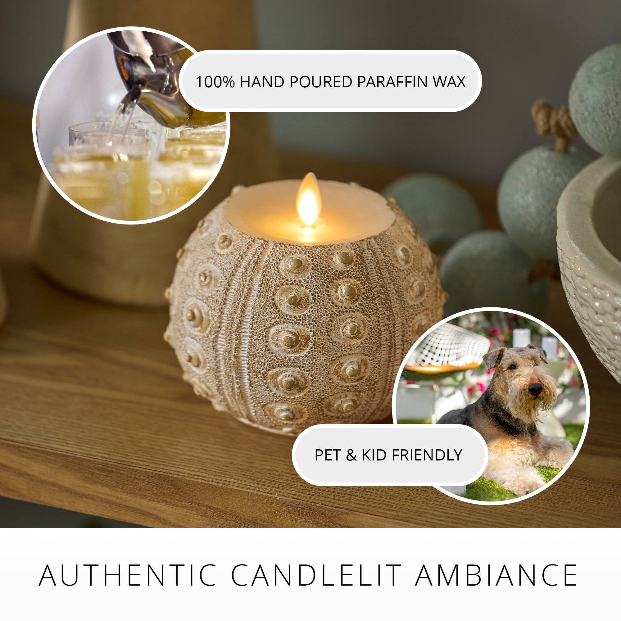 sm-image-1ddad7b54c5a82a252ac43e0 White Sea Urchin Shell Flameless Candle