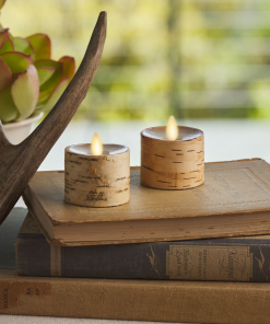 Real Birch Flameless Candle Tealights - Recessed Top - Set of 2