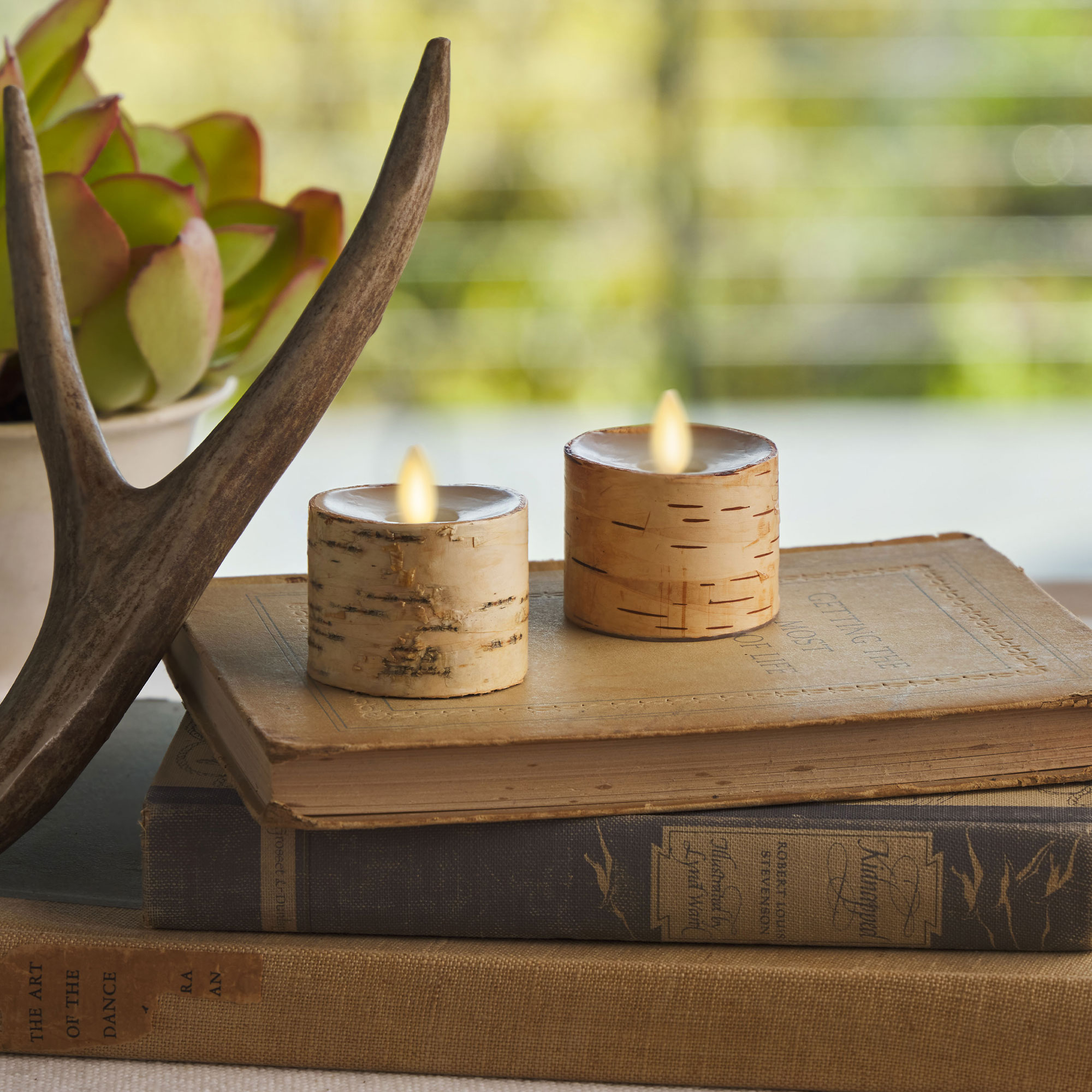 sm-image-542b49ec3eac35fafc57c5ae Real Birch Flameless Candle Tealights - Recessed Top - Set of 2