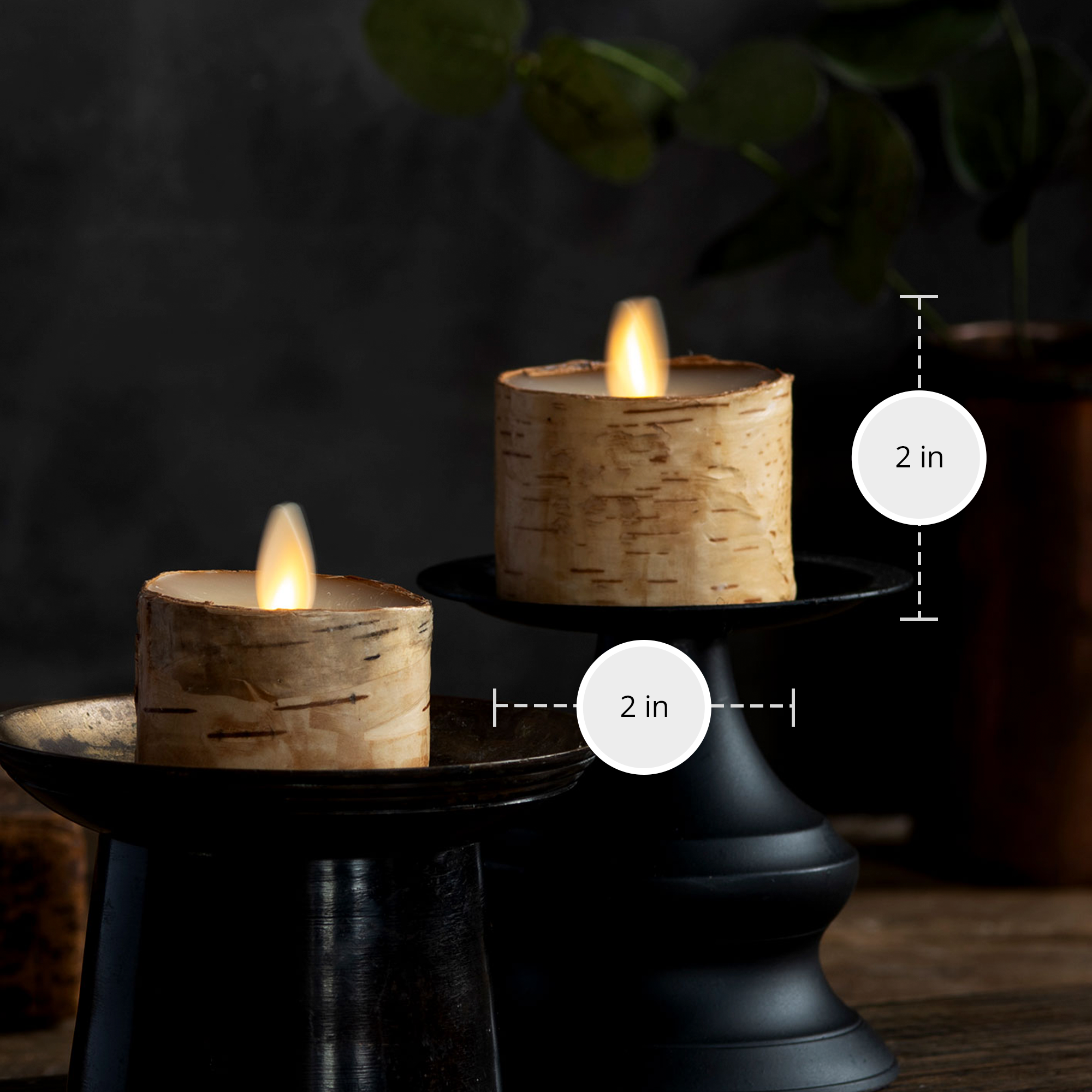 sm-image-655f7d2199b69b16243529db Real Birch Flameless Candle Tealights - Recessed Top - Set of 2