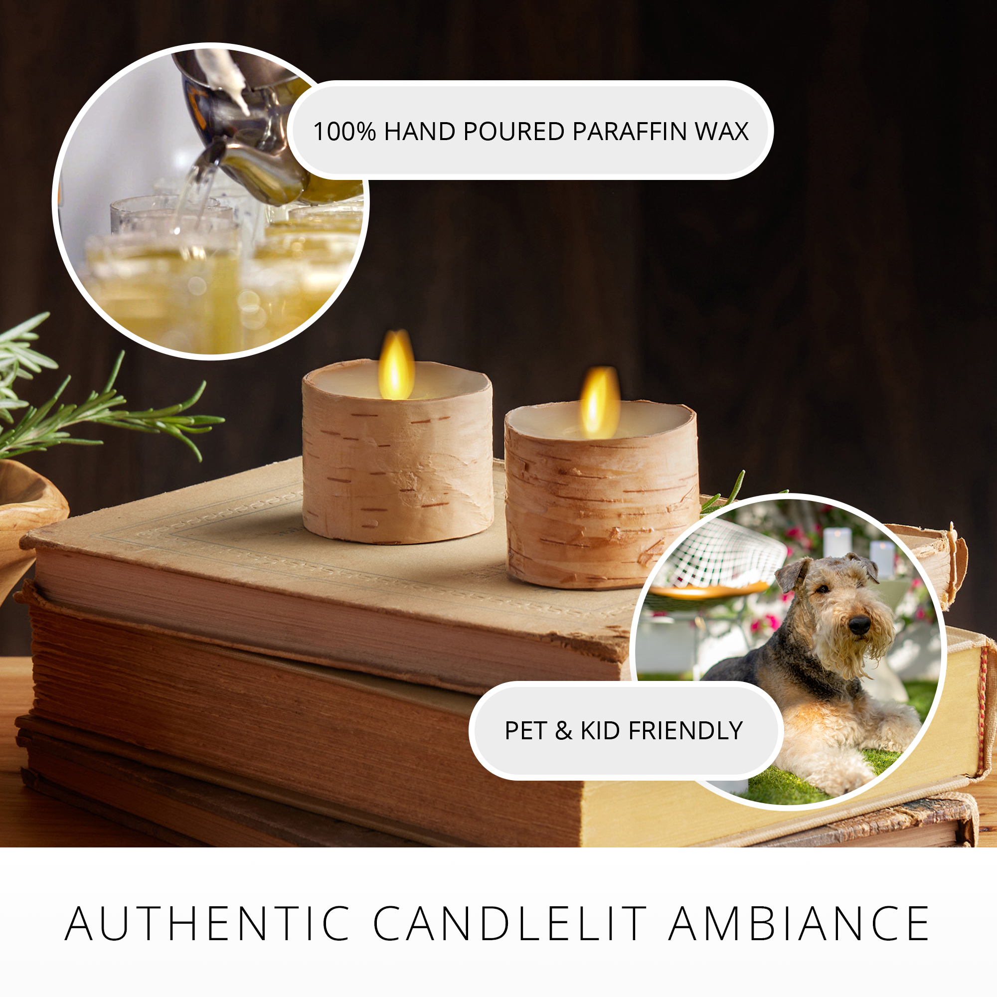 sm-image-6e3d7b9f8524bb44a8c2877a Real Birch Flameless Candle Tealights - Recessed Top - Set of 2