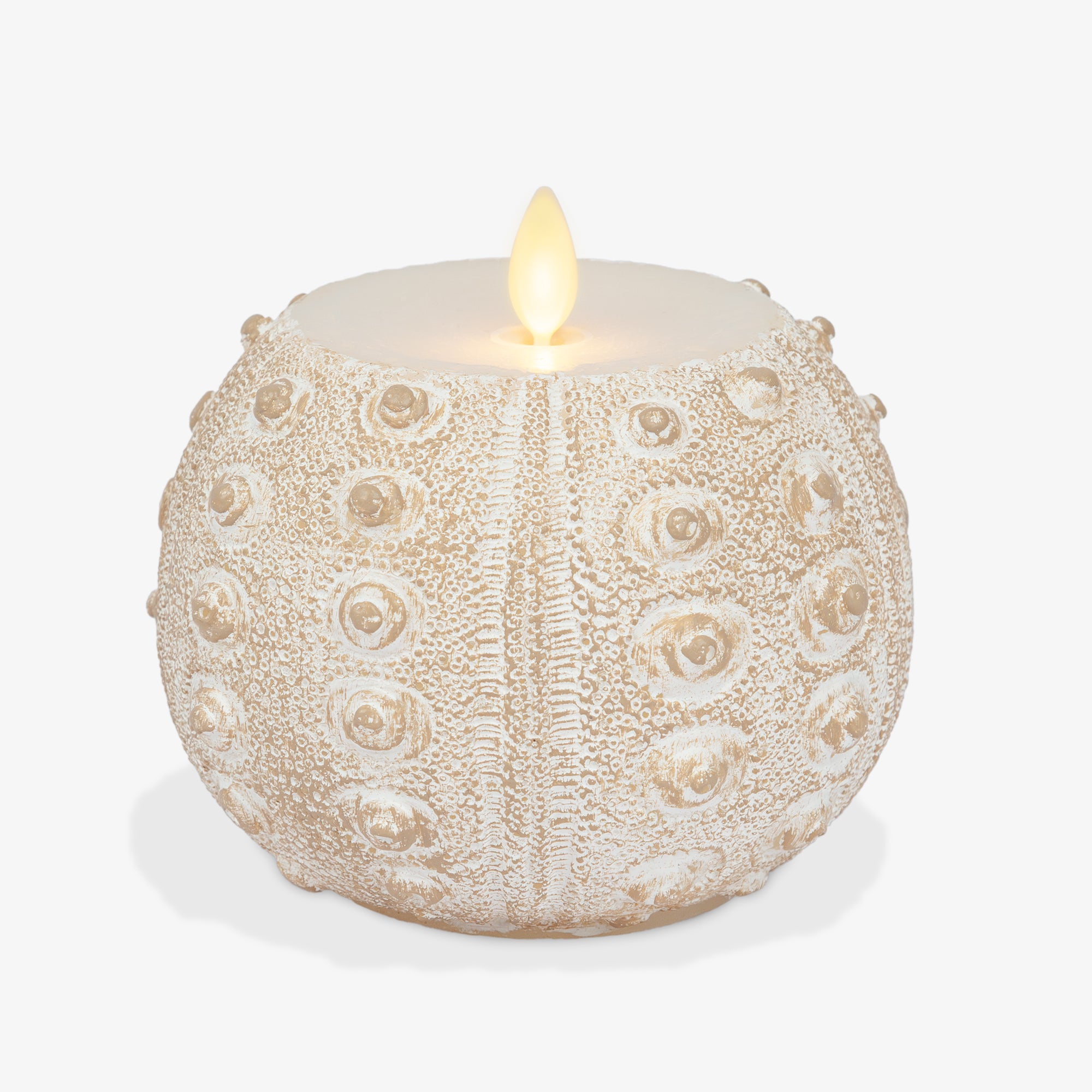 sm-image-890142877b6fd384173182a9 White Sea Urchin Shell Flameless Candle