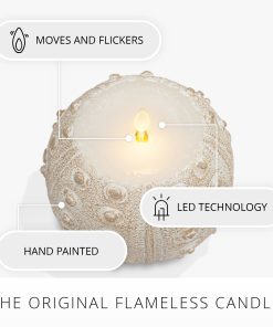 White Sea Urchin Shell Flameless Candle