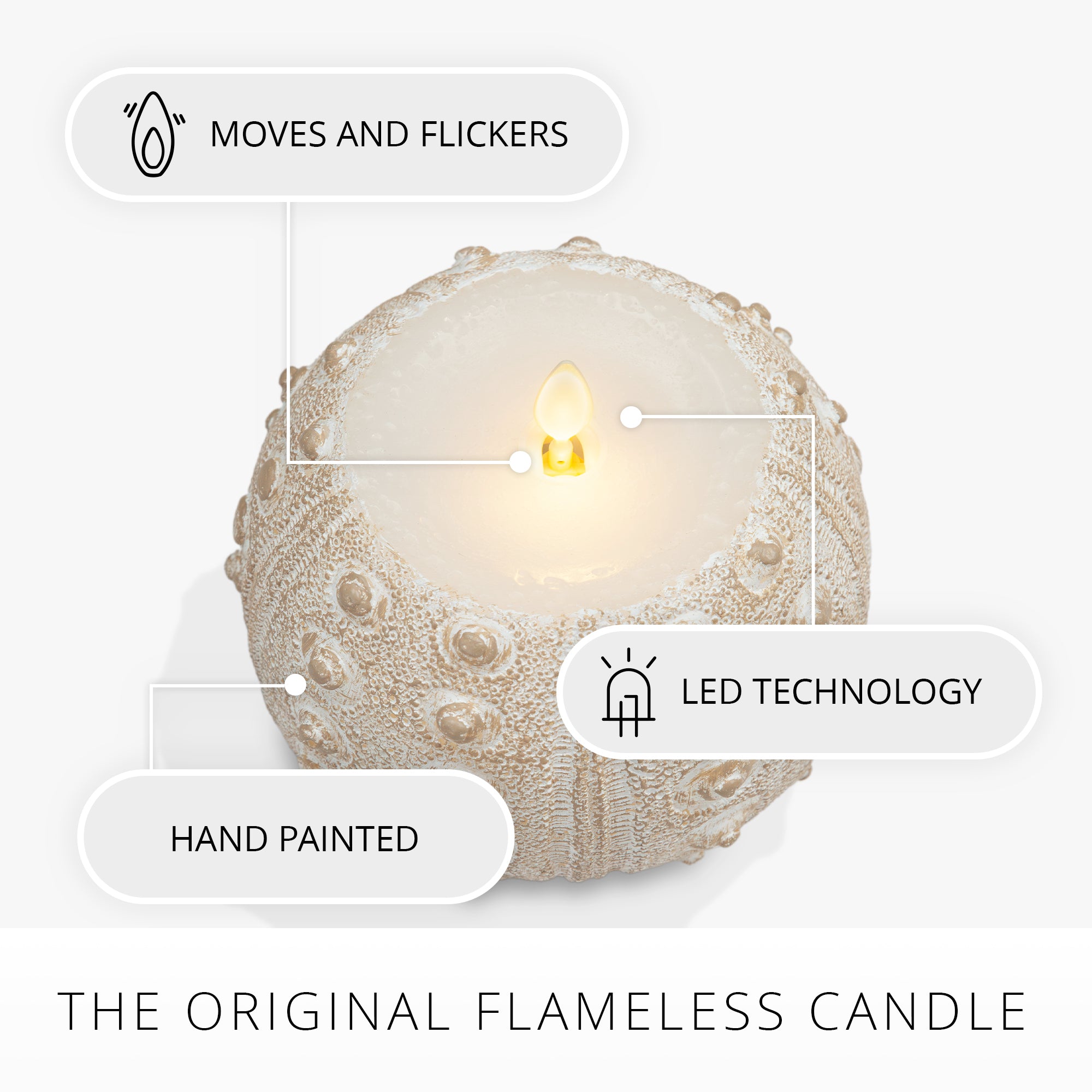 sm-image-95872116fa00c8b88ba6ba8a White Sea Urchin Shell Flameless Candle