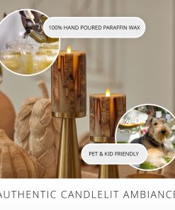 Ivory Embedded Birch and Twigs Flameless Candle Pillar