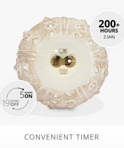 White Sea Urchin Shell Flameless Candle