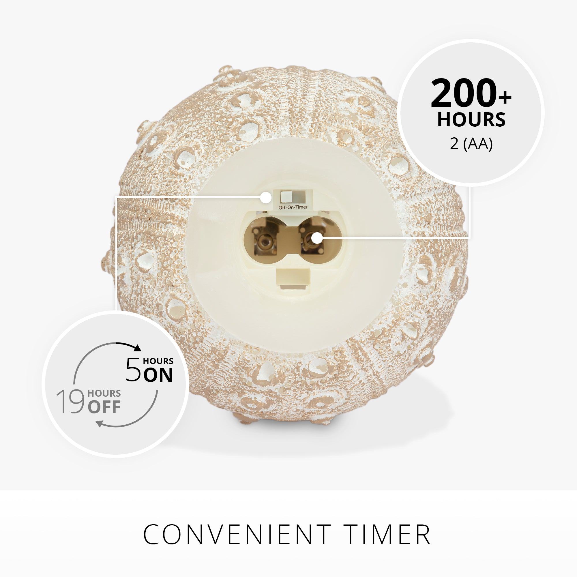 sm-image-9d7eb854e10ece480a8980a5 White Sea Urchin Shell Flameless Candle