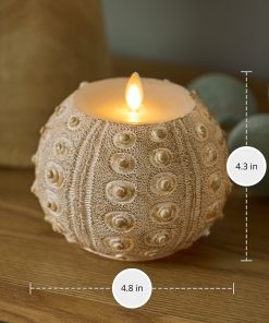 White Sea Urchin Shell Flameless Candle