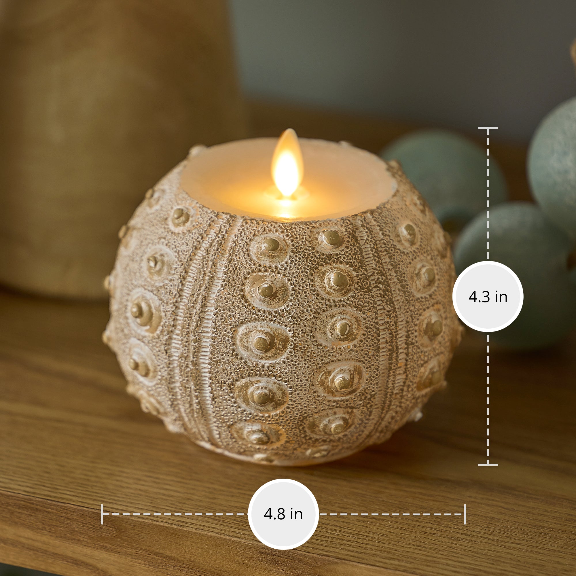 sm-image-c27cd8c17de2ee4480885993 White Sea Urchin Shell Flameless Candle