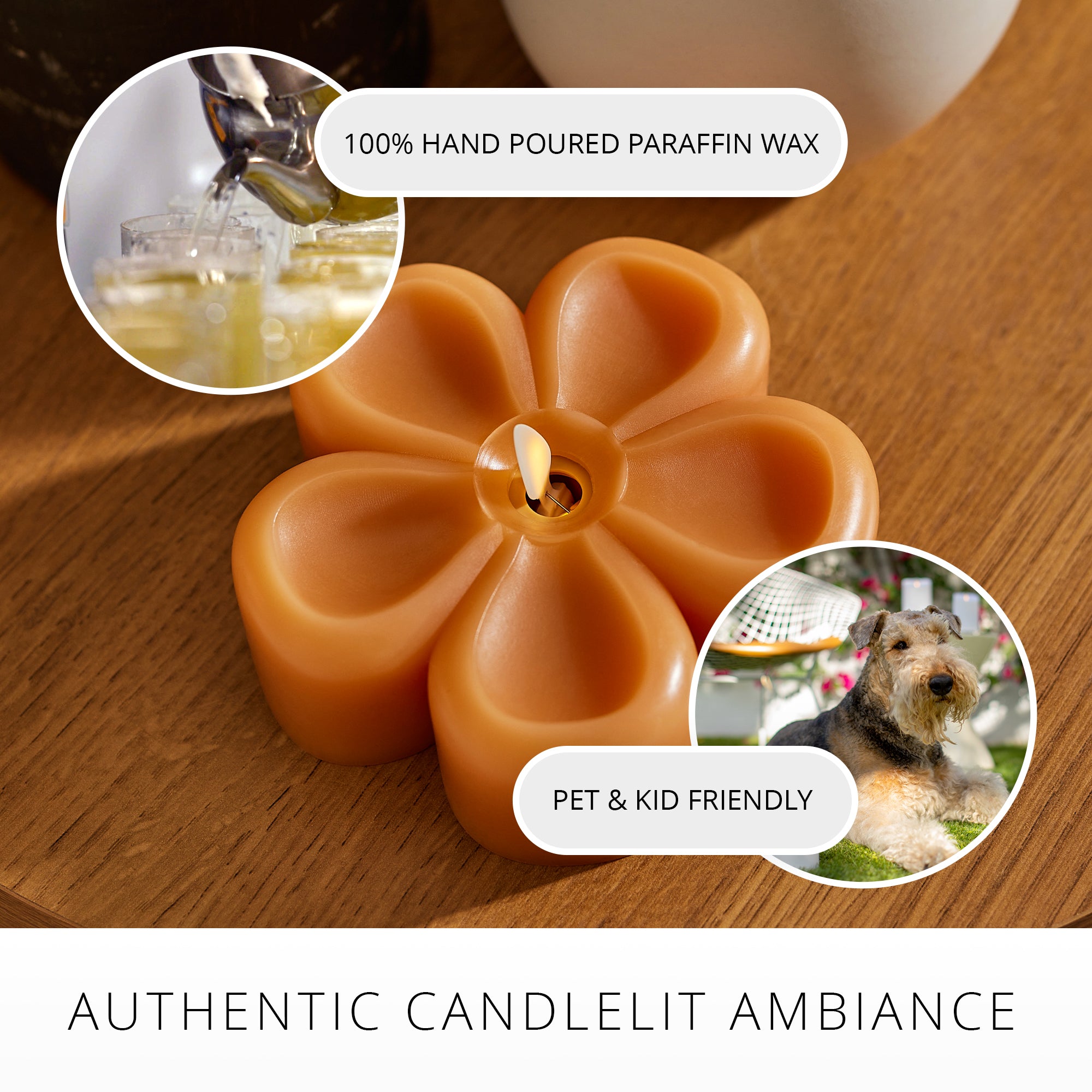 sm-image-ff18f6e594a16a2b0560a39f Sunlit Honey Flower Flameless Candle Tealight